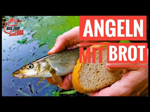 Einfach Angeln mit Christian - Mit Brot am kleinen Fluss