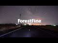Five for Fighting - Road to You - Forest Fine Five for Fighting - Road to You