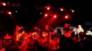 Los Lobos Yo Canto live in Calgary