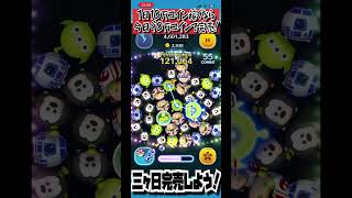 三ヶ日まであと231日‼️こんな時に倍率出ないで…涙