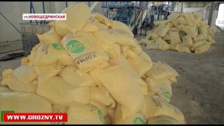 Чеченские предприятия усиленно налаживают производство халяльной продукции