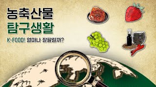 K-FOOD, 얼마나 잘팔릴까? | 농축산물 탐구생활