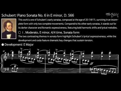  Schubert: Piano Sonata No. 6 in E minor, D. 566-Ⅰ. Moderato (Analysis)