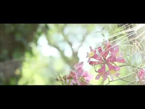 Die Geheimnisse der Spiderwicks / Trailer / German