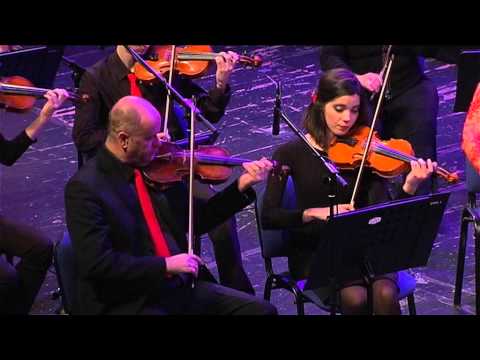 Ako je vrijedilo išta,  Anđela Ljubić