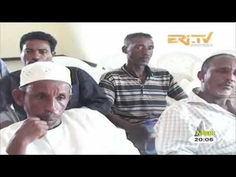 ERi-TV Tigre News - November 19, 2017