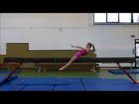 Copia di Ginnastica ARTISTICA Provagliese