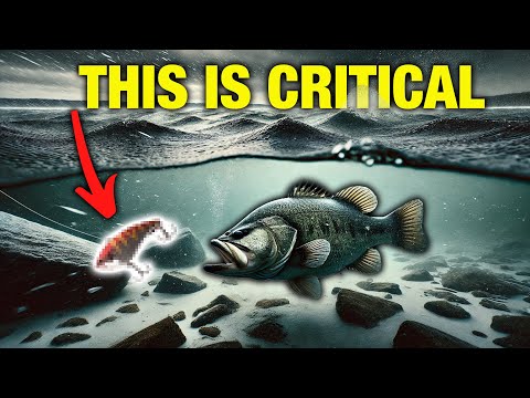 Winter Bass Fishing: 3 Overlooked Keys to Catching More Bass