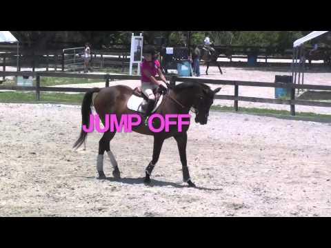 Sabrina riding Tango jumper class Fox Lea