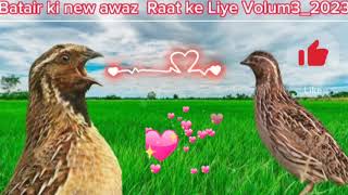 Download lagu Batair ki new awaz  Raat ke Liye Volum3_2023 mp3