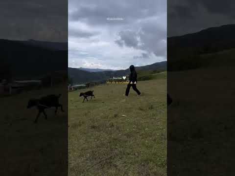 Boconó, en el estado Trujillo #venezuela #turismo #travesia #viajeinolvidable #travel