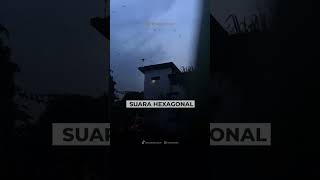 Download lagu Jangan Bangun Gedung Walet Jika Belum Tahu Istilah Audio Gedung Walet Berikut Ini 🌏 #duniawalet mp3 Download lagu Jangan Bangun Gedung Walet Jika Belum Tahu Istilah Audio Gedung Walet Berikut Ini 🌏 #duniawalet mp3