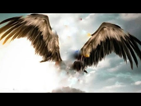 Jay Swain - BIRD ( Audio )