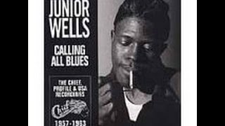 CD Cut: Junior Wells: It Hurts Me Too (When Things Go Wrong)