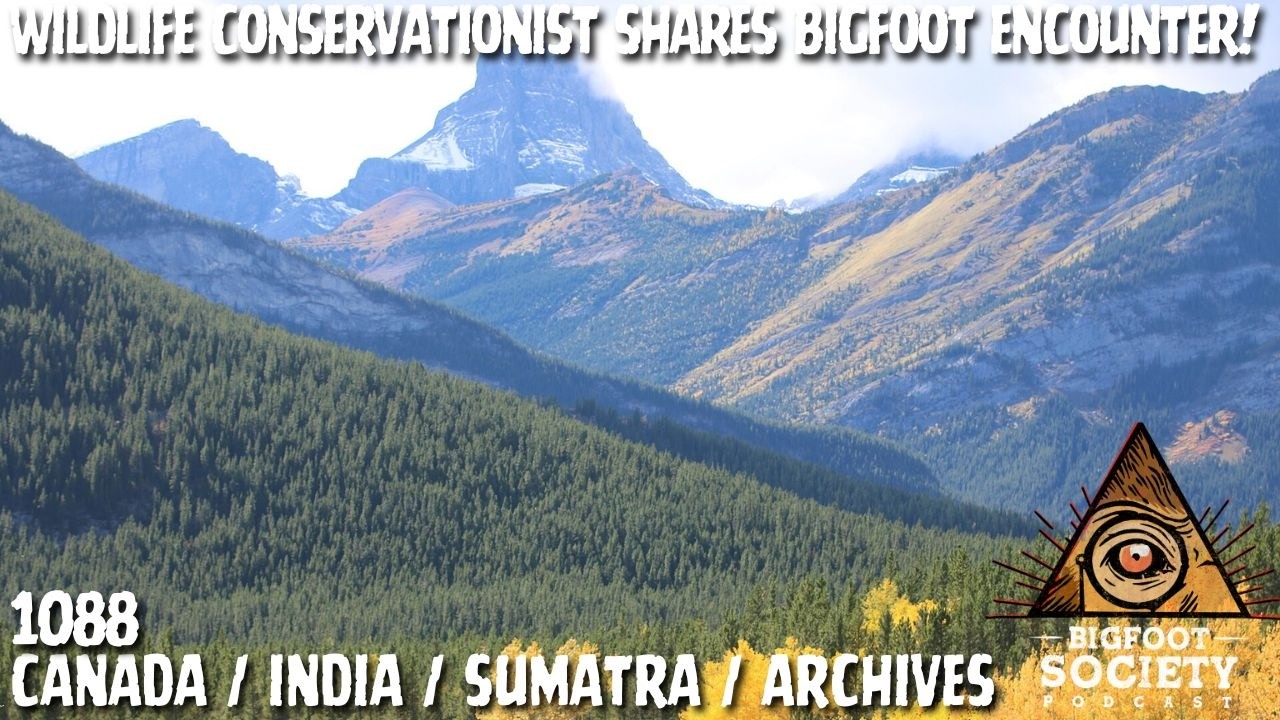 Wildlife Conservationist from India shares his Bigfoot Encounter | Archives