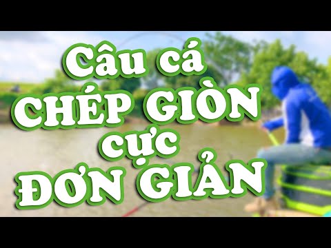 Câu Cá Chép Giòn Cực Đơn Giản với Cách Phối Trộn Mồi Này