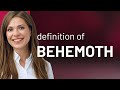 Behemoth • definition of BEHEMOTH