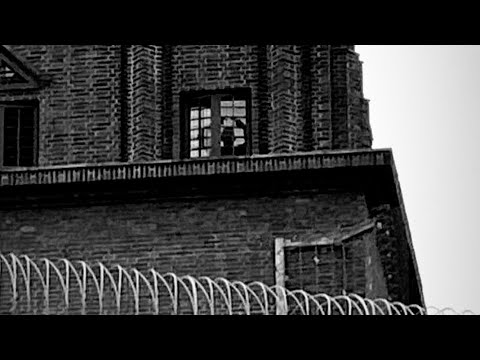 LAYÉ – FreeCARLOS