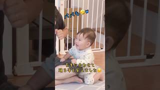 踊る楽しさを知った2人🤣w #赤ちゃん #赤ちゃんのいる生活 #生後9ヶ月 #9ヶ月ベビー #男の子ベビー #shorts #クォーターベビー #三兄弟 #末っ子 #芸達者 #覚えました #ダンス