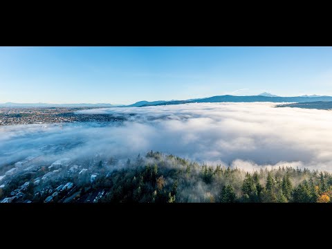 Discover Research in Every Direction at WWU