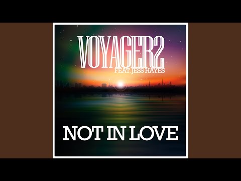 Not in Love (Extended Mix)