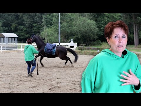 Stute macht Probleme im Gelände - Fiora flößt Besitzerin Respekt ein - Kann Ariane Telgen helfen?