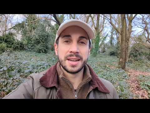 Outcome of Antler application | Ep 041