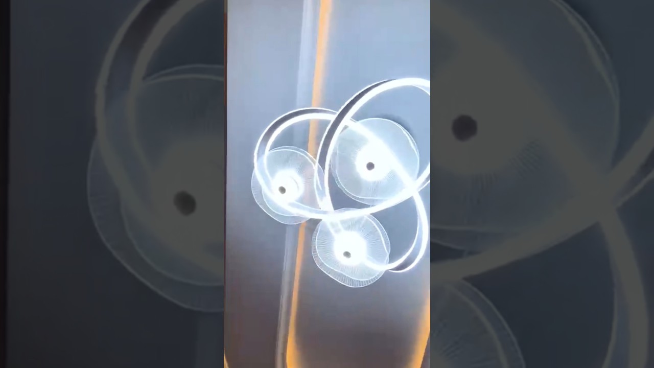 05 Marla Brand New Modern elevation House for sale #houseforsale  #construction #house #5marla