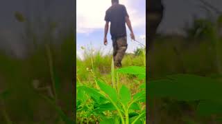 Download lagu Berjalan Tampa janji itulah diriku🥀#reels #automobile #youtube #youtubeshorts #video #viralvideo mp3