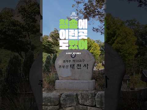 [온통청송] 대전사, 주왕산 아래 고즈넉한 사찰