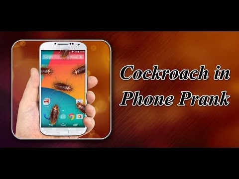Cockroach in Phone Prank Video