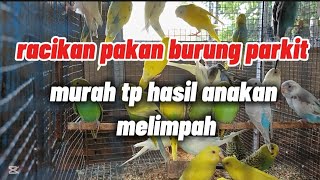 Download lagu Parakeet breeding,//// feed mix for parakeet breeding to produce abundant offspring mp3
