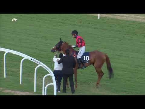 5th Race Meeting of Season 2018/2019