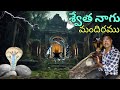 Haunted By SWETHA NAGU RAJPURAM VILLAGE