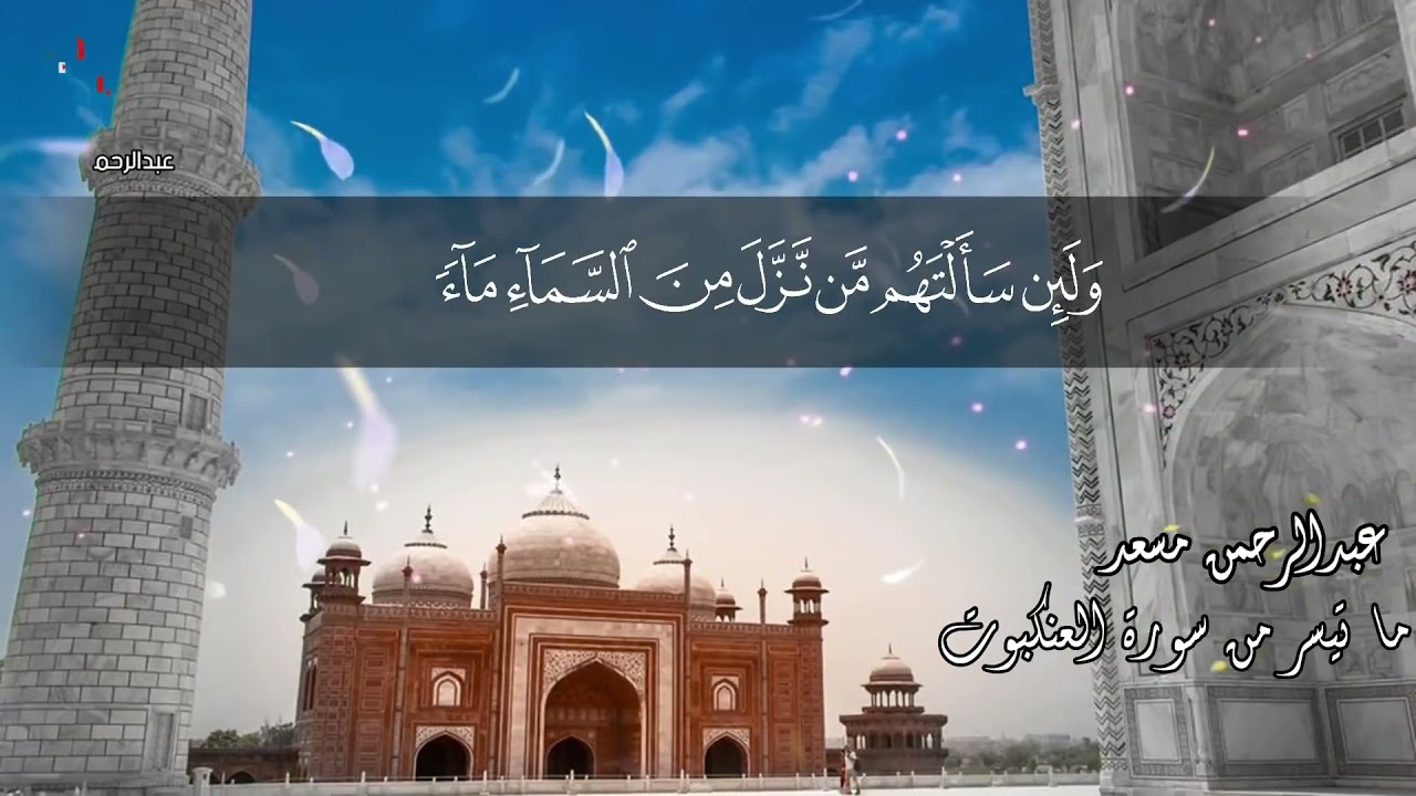 و ي س ت ع ج ل ون ك ب ال