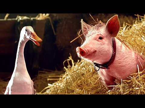 The Best Scenes from BABE 2 🌀 4K