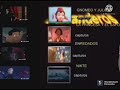 Parrandero Productions Pirata Reverse