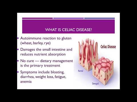 Celiac Disease and Nutrition