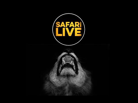 safariLIVE - Sunset Safari - March 4, 2018