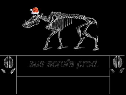 Askom - Ecriture sensée