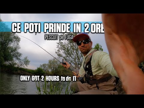 Ce poti sa PESCUIESTI in DOAR 2 ORE? SPINNING de pe MAL