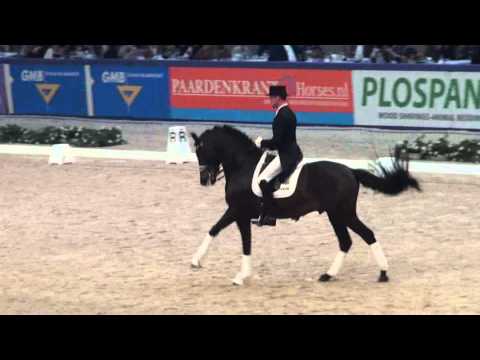 Meggle's Boston(Johnson x T.C.N.Partout) and  Hendrik Lochthowe at KWPN stallionshow.