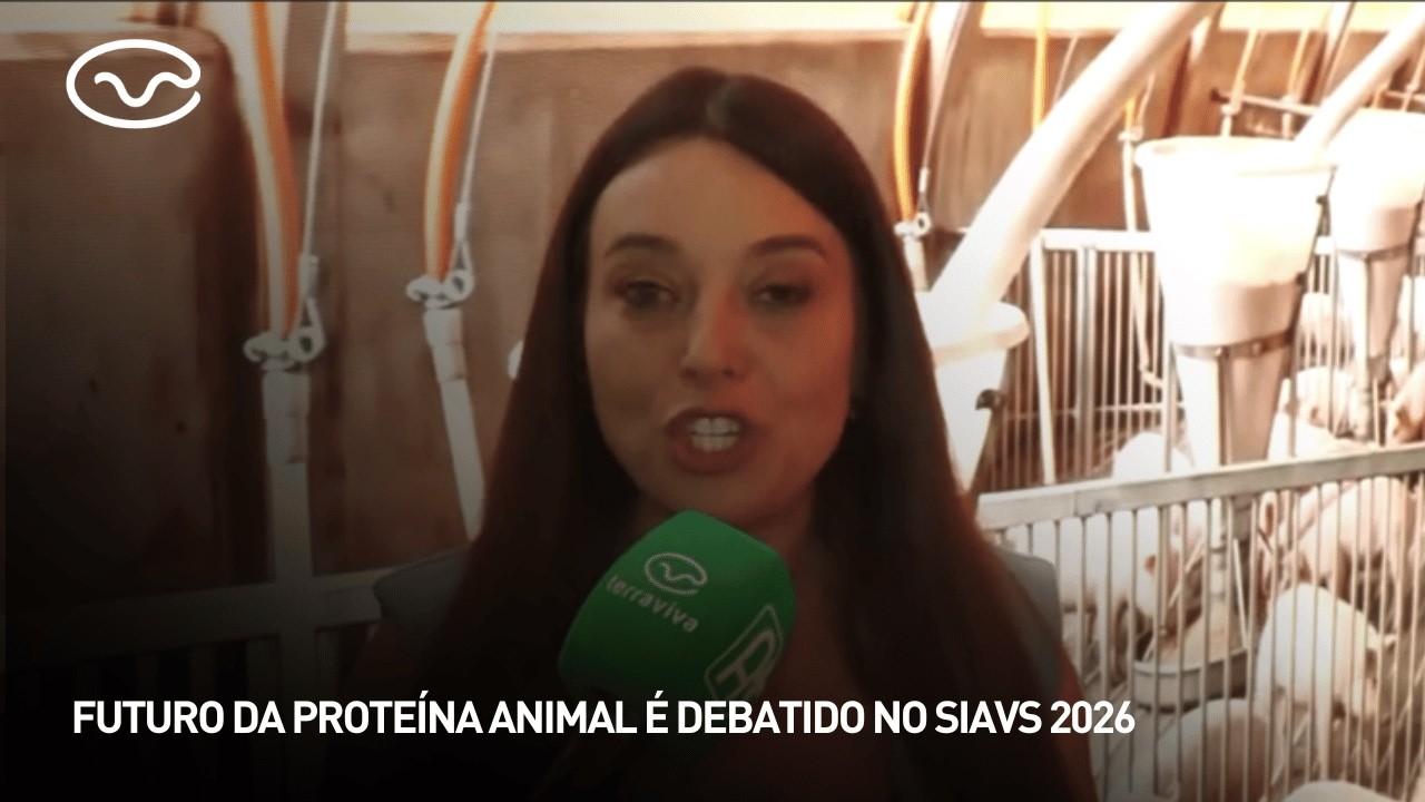 Futuro da proteína animal é debatido no SIAVS 2026