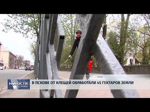 Новости Псков 06.07.2018 # В Пскове от клещей обработали 45 гектаров земли