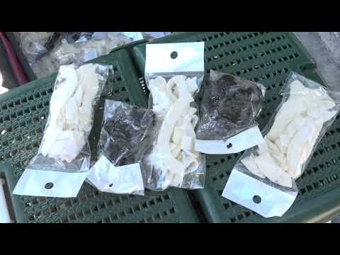 POR MÁS DE 30 AÑOS FAMILIA SALE ADELANTE POR EL ÉXITO DE SU EMPRENDIMIENTO