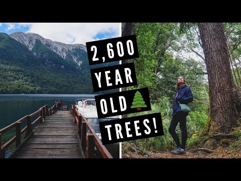 Is this the MOST BEAUTIFUL PLACE IN PATAGONIA? | Visiting Los Alerces National Park in Argentina ?