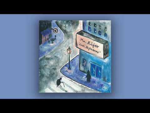 Mr. Käfer - Hidden Voice