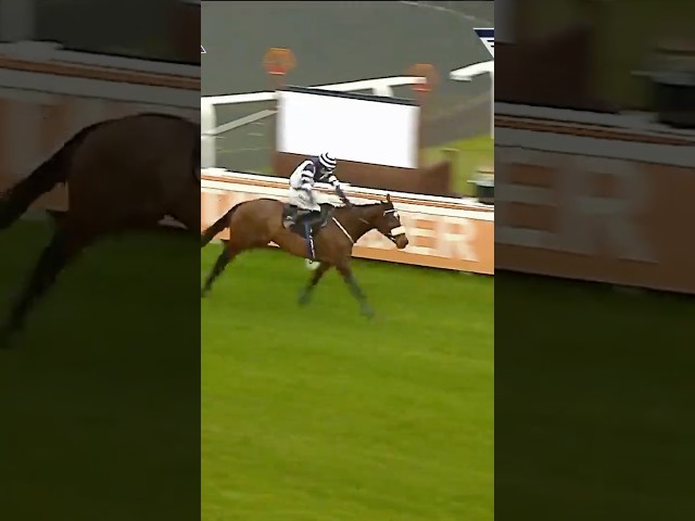 Thumbnail for Post ID: BFnsq8Q7u_Y