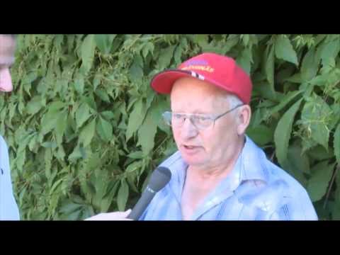 Willy Björkman och Sommartravet