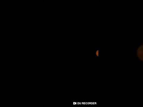 Simon's Cat Pop Time S9 part 41-45(4)